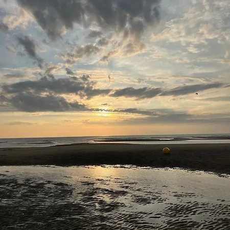 L Orée De La Pinède à 800 Metres De La Sous Les Pins *