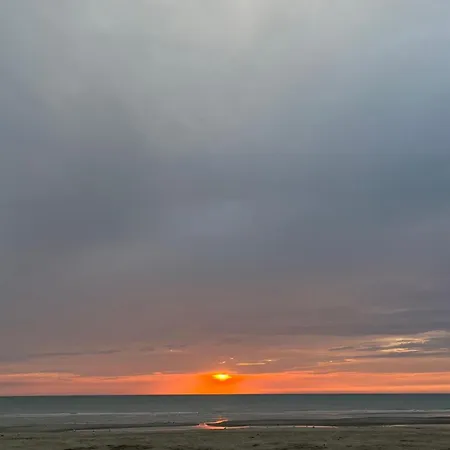 L Oree De La Pinede A 800 Metres De La Sous Les Pins * Hardelot-Plage