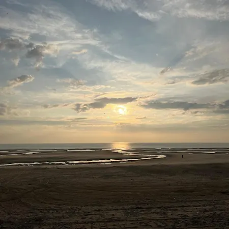 L Orée De La Pinède à 800 Metres De La Sous Les Pins Hébergement de vacances *