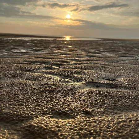 L Orée De La Pinède à 800 Metres De La Sous Les Pins Hardelot-Plage