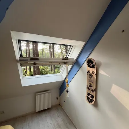 L Orée De La Pinède à 800 Metres De La Sous Les Pins Hébergement de vacances