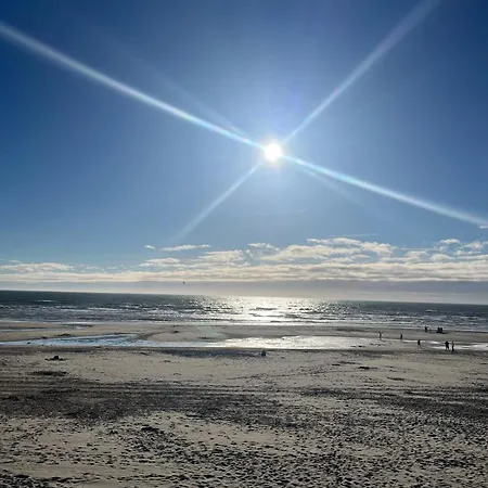 L Oree De La Pinede A 800 Metres De La Sous Les Pins Hardelot-Plage