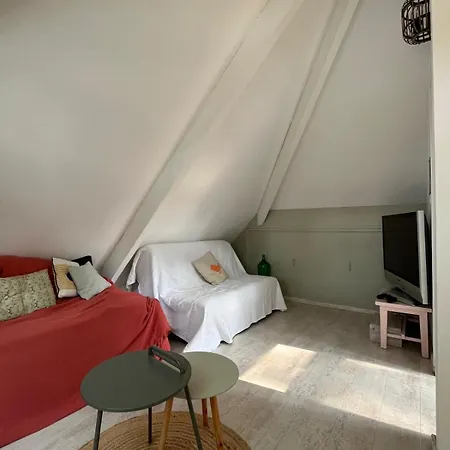 L Orée De La Pinède à 800 Metres De La Sous Les Pins Hébergement de vacances