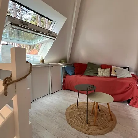 L Orée De La Pinède à 800 Metres De La Sous Les Pins Hébergement de vacances