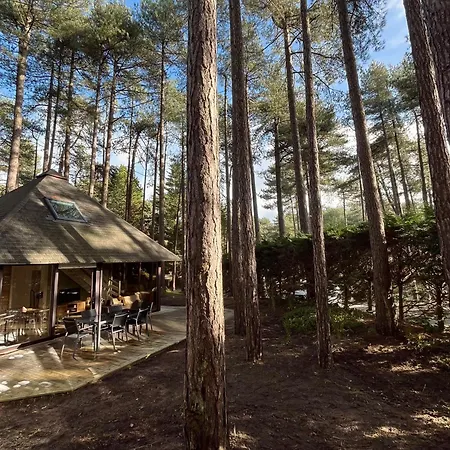 L Oree De La Pinede A 800 Metres De La Sous Les Pins * Hardelot-Plage