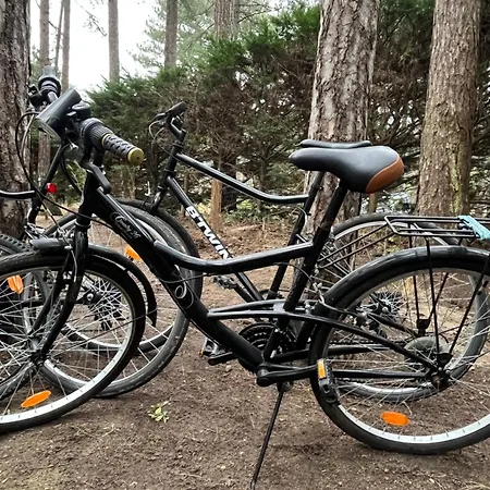 بيت للعطل L Oree De La Pinede - A Pied - Velos - Foret
