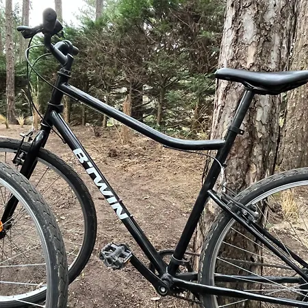 L Orée De La Pinède à 800 Metres De La Sous Les Pins *