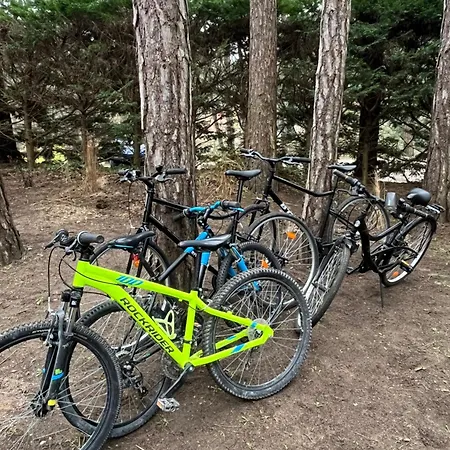 L Oree De La Pinede A 800 Metres De La Sous Les Pins Hardelot-Plage