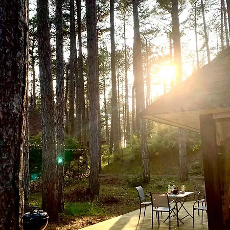 Hébergement de vacances L Orée De La Pinède à 800 Metres De La Sous Les Pins