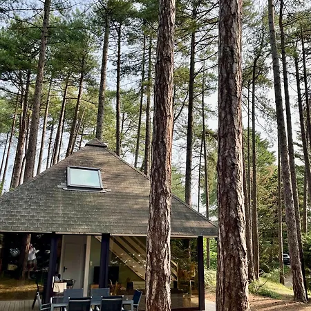 L Oree De La Pinede A 800 Metres De La Sous Les Pins Holiday home *