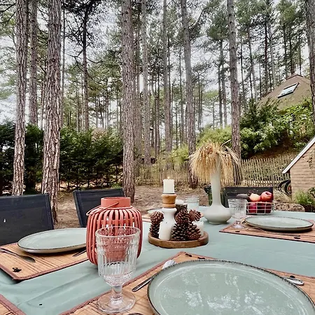 Nyaraló L Oree De La Pinede A 800 Metres De La Sous Les Pins Hardelot-Plage